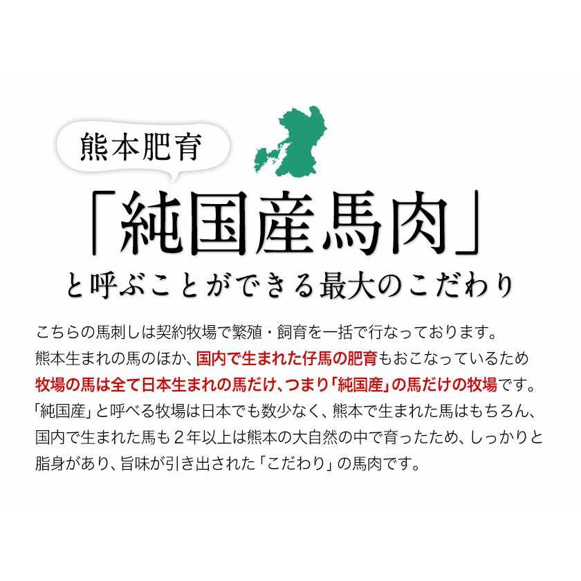 手作りハン馬ーグ 100g×10個 馬肉100%配合！【純国産馬肉使用】【熊本肥育】《30日以内に出荷予定(土日祝除く)》---mna_fkgumburg_30d_23_12000_10k---