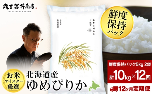 【定期便12回・下旬発送】北海道産ゆめぴりか 10kg(鮮度保持パック5kg×2袋) 特A お米  千歳 北海道米