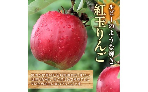 ≪先行受付≫紅玉りんご5kg 18個～25個 特秀【2026年10月下旬～順次発送予定】
