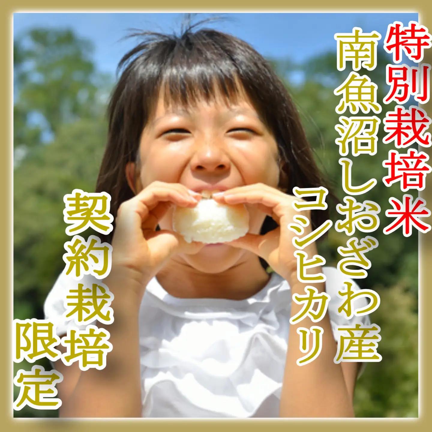 【令和8年　新米予約】【定期配送２Kg×12ヶ月】特別栽培 生産者限定  南魚沼しおざわ産コシヒカリ｜コシヒカリ【2026年10月上旬から1ヶ月以内に順次発送予定】