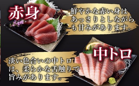 【 6回定期便 】 天然メバチマグロ 中トロ 赤身 約1.3kg【マグロマグロマグロマグロ】