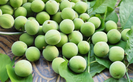 有機栽培　青梅 5kg（ジュース・梅酒・酵素用） | 果実 かじつ カジツ 梅 うめ ウメ 奈良県 五條市