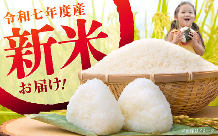 【令和7年産】【特Aランク受賞実績あり！】はるみ 5kg【井上農園】 米 お米 精米 白米 はるみ 新米 令和7年産[BDBB002]