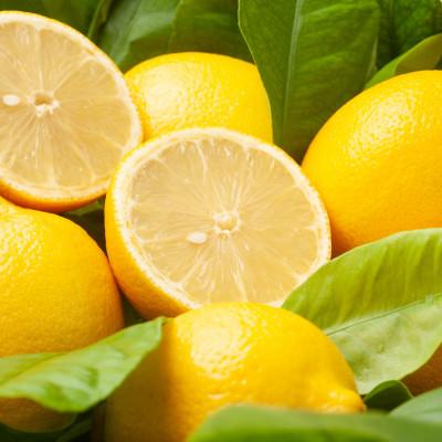 ふるさと納税 八幡浜市 【まろやか果汁、やさしい酸味。】愛媛育ちの完熟レモン 4kg【C49-103】 |  | 01