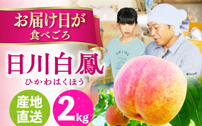 
            【朝採れ】【数量限定】樹上完熟！日川白鳳（桃）2kg（8ー10玉）ー2025年6月中旬より発送ー 長与町/小林果樹園 [EAT001] 桃 モモ 完熟もも 完熟桃 数量限定 先行予約 せんこうよやく 果物 フルーツ 白鳳 ひかわはくほう
          