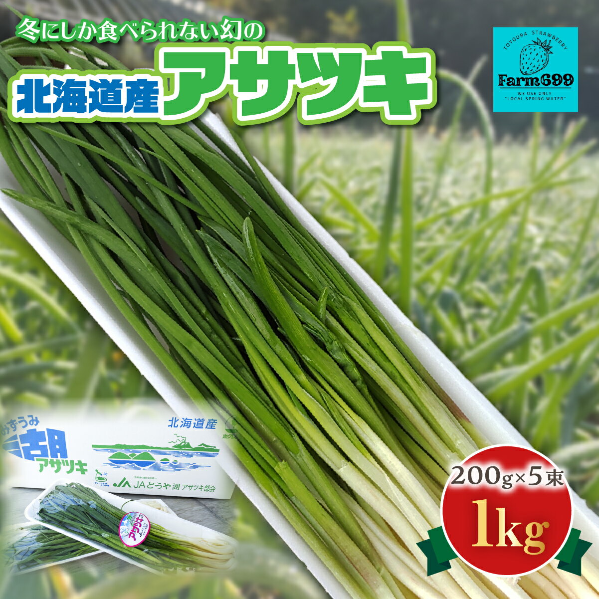 【ふるさと納税】【2026年2月上旬以降順次発送】北海道産アサツキ 1kg 【 北海道の冬を乗り越えた幻の作物 ふるさと納税 人気 おすすめ ランキング おいしい 美味しい 北海道 豊浦町 送料無料 】 TYUAH004
