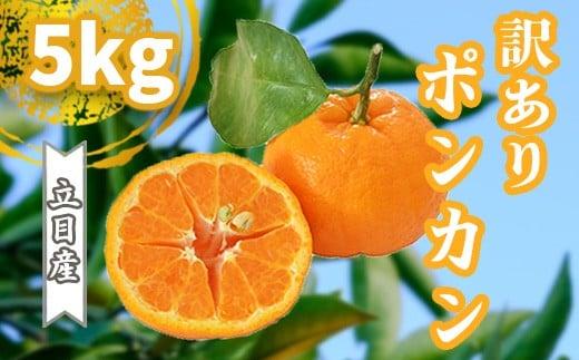 【 早期予約受付開始 】 2026年1月中旬より順次発送 立目産 ポンカン 訳あり 5kg 2026年 収穫分 家庭用 みかん 高知 須崎 TMS001