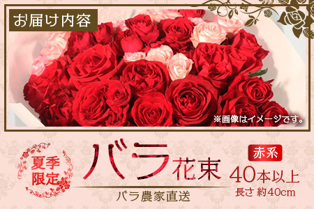 【先行予約・夏季限定 薔薇】ばら農家直送！バラ花束40本以上お届け(赤系) 【ギフト対応可】TB-5│ローズ 新鮮 花 フラワー 花束 ばら 薔薇 バラ 誕生日 記念日 結婚祝い ギフト プレゼント 
