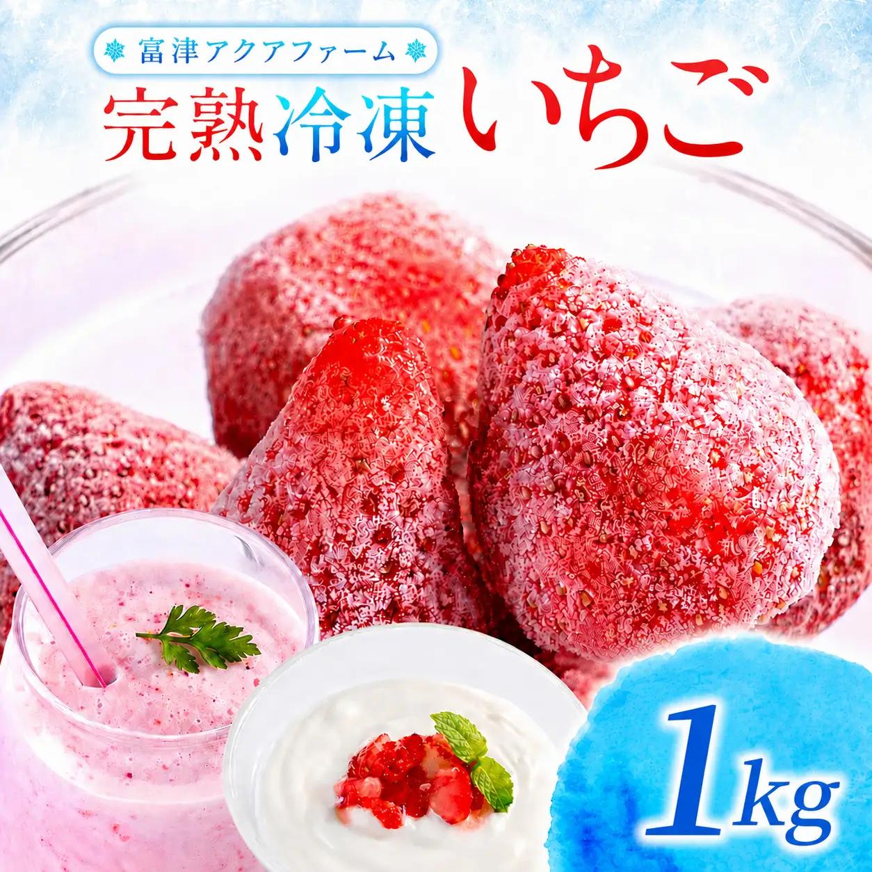 富津アクアファーム　冷凍完熟いちご 1kg　いちご フルーツ 果物 完熟 ストロベリー ベリー 冷凍 アクアファーム おすすめ 数量限定 章姫 紅ほっぺ 真紅の美鈴 おいCベリー かおり野 ヨーグルト スムージー ジャム お菓子 おやつ 氷いちご 房総 千葉県 富津市