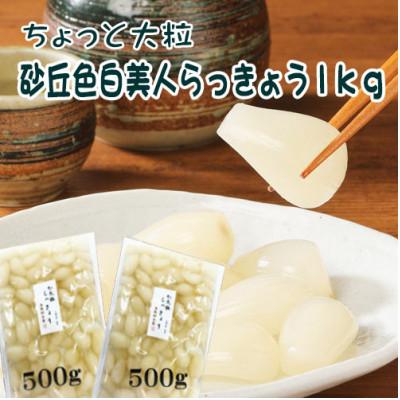 ふるさと納税 北杜市 ちょっと大粒　「色白美人らっきょう」　国産無添加　500g×2パック
