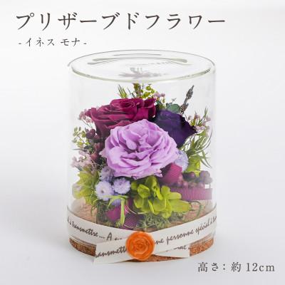 ふるさと納税 羽島市 プリザーブドフラワー ガラスケース入りアレンジ 【イネス モナ(パープル)】