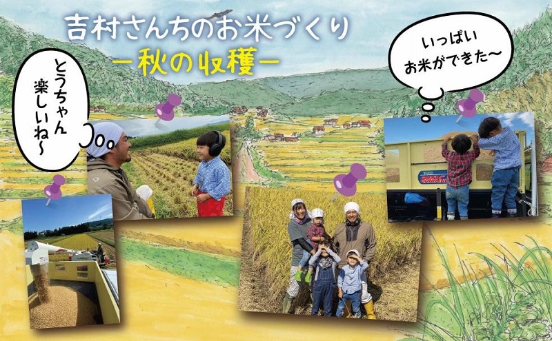 ｜従来品種｜ 魚沼産 コシヒカリ 5kg ×4袋 計20kg 米 こしひかり お米 新潟 魚沼 魚沼産 白米 送料無料 新潟県産 精米 産直 農家直送 お取り寄せ 吉村さんちのお米 新潟県 十日町市