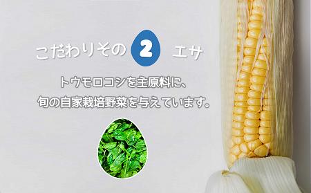 たかはしさんの新鮮たまご30個