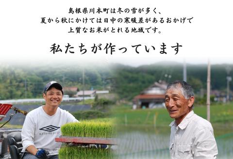 150263【令和5年産／お米定期便／12ヵ月】しまね川本きぬむすめ5kg(計60kg）