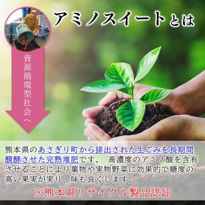 ふるさと納税 あさぎり町 完熟堆肥 アミノスイート 22kg (11kg×2袋) 高濃度アミノ酸含有 |  | 01