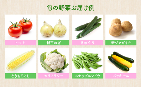 K1665 季節の野菜 「道の駅さかいオリジナル」駅?おすすめ野菜セット