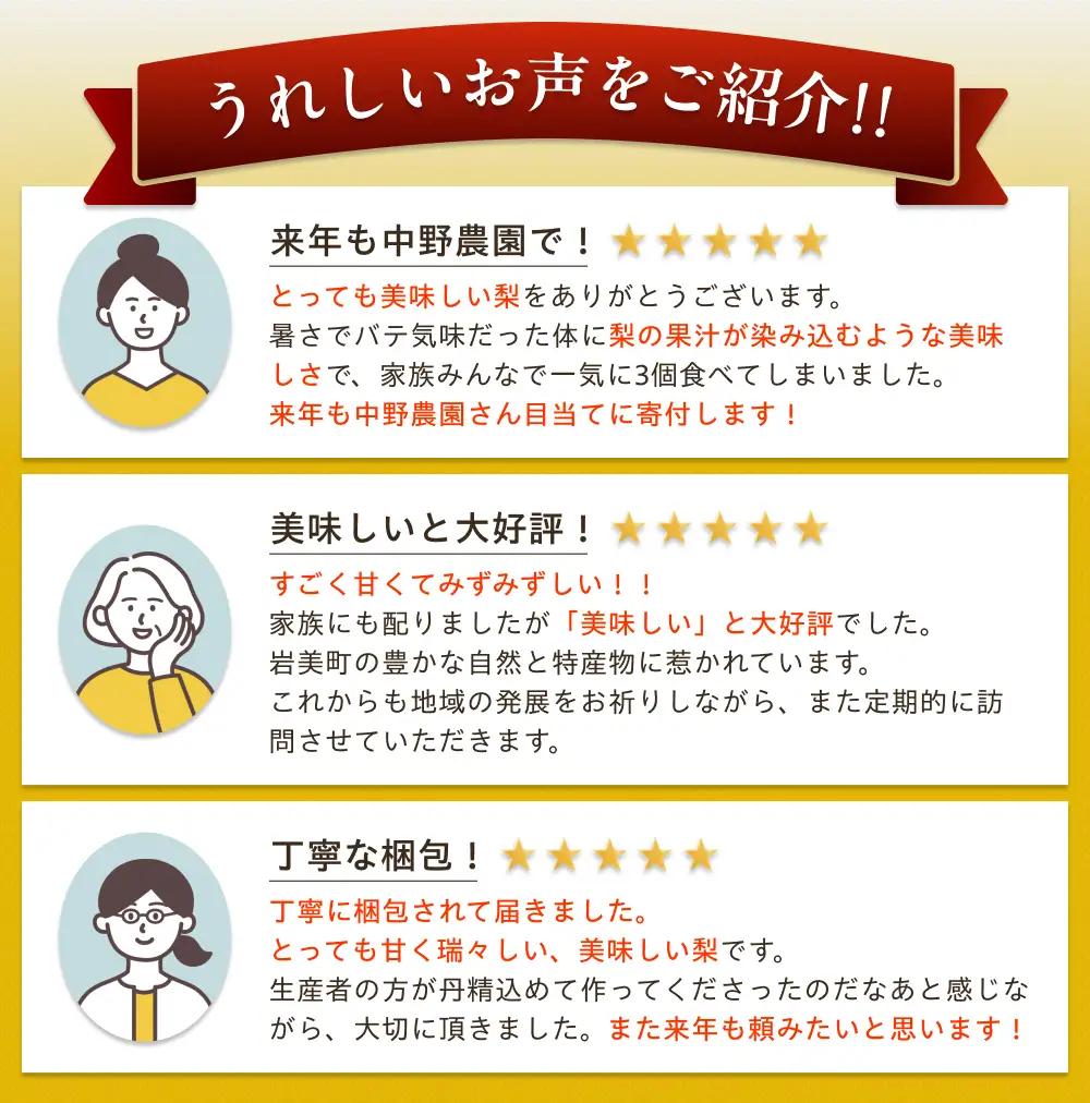 中野農園 梨 ”新雪梨” 5kg箱｜鳥取 岩美 梨 なし ナシ※お届けは2026年12月以降【41023】