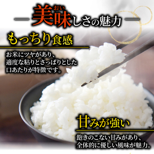 ひとめぼれ 10kg 精米 岩手県産 米 白米 はくまい コメ rice ごはん 常温 常温保存 保存 農家 農作物 栄養 夕飯 大船渡 三陸 岩手県 国産