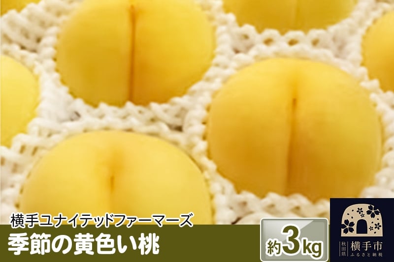 
            9月上旬より発送 季節の黄色い桃 約3kg（黄貴妃）
          