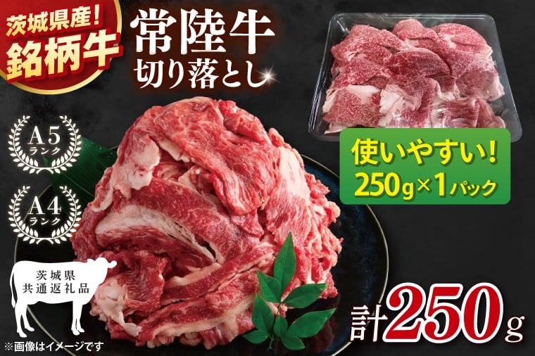 
            【茨城県共通返礼品】お試しサイズ！常陸牛切り落とし 250g【黒毛和牛 国産 銘柄牛 牛肉 肉 冷凍 茨城県産】(81-22)
          