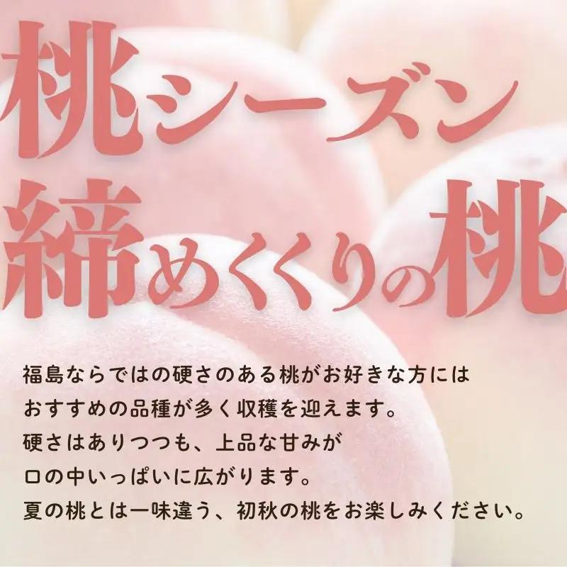 No.2407福島 桃　晩成種約2kg【2026年発送】