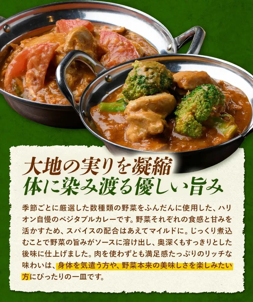 季節の野菜カレー 2食セット 野菜 カレー ベジタブルカレー インド 本格的 ジャムナコーポレーション株式会社