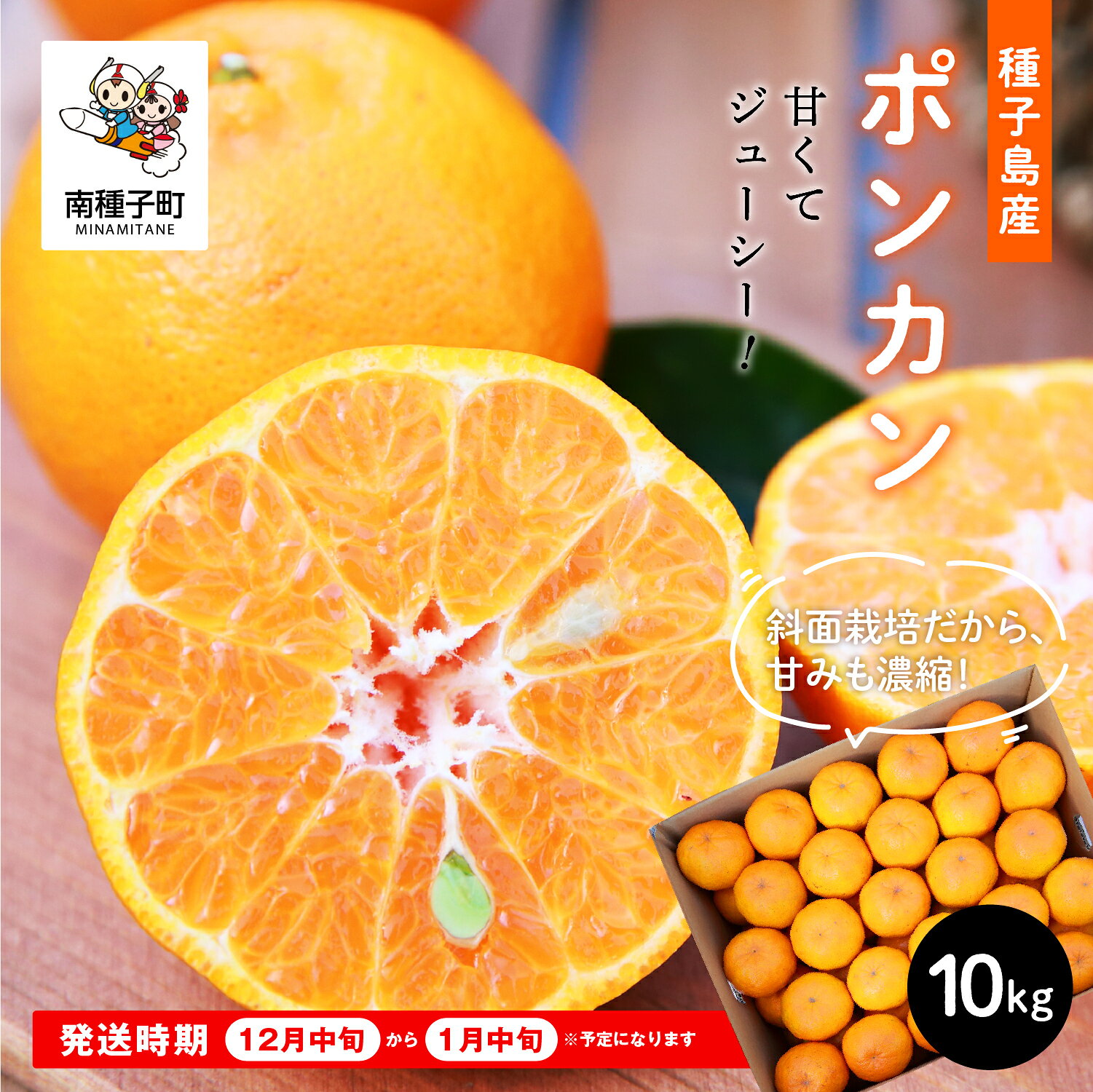 【ふるさと納税】《先行予約》 種子島産 ポンカン 約 10kg ( 60玉前後 )《2026年12月中旬頃〜1月中旬頃順次発送》 オレンジ ぽんかん 果物 フルーツ 食品 グルメ お取り寄せ お正月 人気 おすすめ ギフト 返礼品 南種子町 鹿児島 かごしま 【南種子町果樹部会】