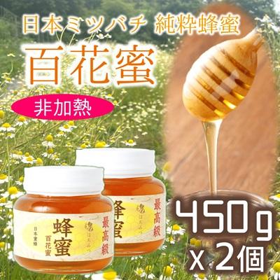 ふるさと納税 臼杵市 純粋・希少 臼杵産 日本蜜蜂のハチミツ(900g)百花蜜 蜂蜜 二ホンミツバチ 非加熱