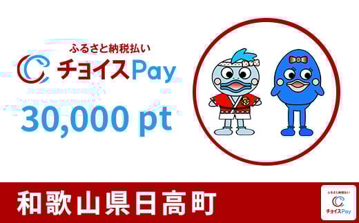 
            日高町チョイスPay 30,000pt【会員限定のお礼の品】
          