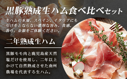 南州農場 黒豚熟成生ハム 4種食べ比べ セット 冷蔵 NS-9 | 国産 肉 お肉 豚肉 豚 にく ぶた かごしま黒豚 生ハム 最高峰 熟成ハム コッパ パンチェッタ コッホサラミ スパイス サラミ 