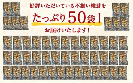 015-963x1 【14営業日以内発送】 不揃い 椎茸 50袋セット 40g×50袋 合計2kg 干し椎茸 乾燥 しいたけ ギフト