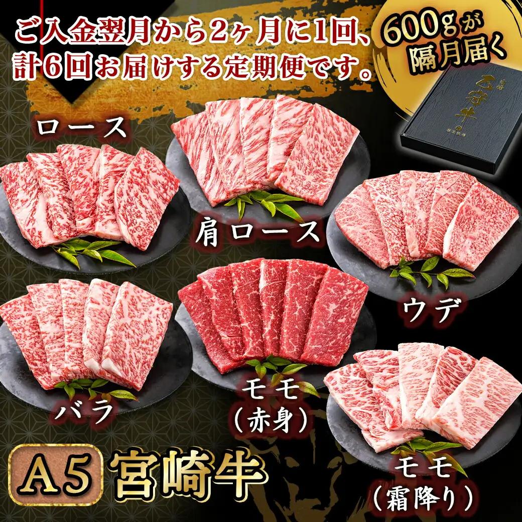 ≪限定200セット≫隔月6回お届け!【宮崎牛A5】焼肉6種盛り(乙守牛）〔T192-6-6501〕_(都城市) 都城産宮崎牛 A5 焼肉6種盛 各100g ロース/肩ロース/ウデ/バラ/モモ(赤身)/