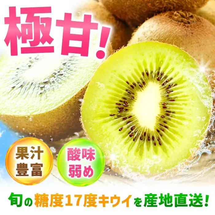 キウイフルーツ 博多甘うぃ 3.6kg キウイ【先行予約2026年 11月上旬より発送】[AFAB013]