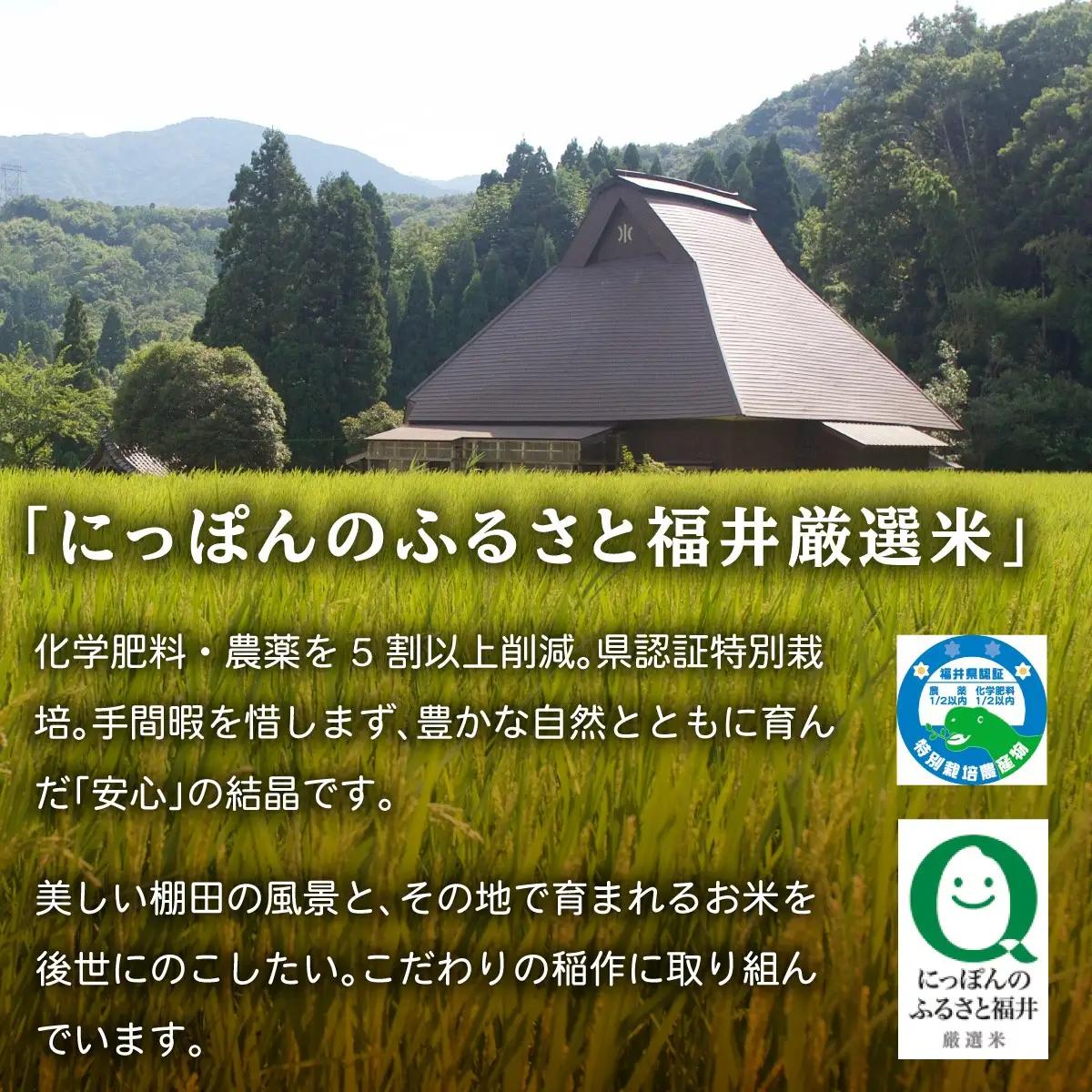 【背ワタなし】 大型むきえび (高級ブラックタイガー) 1kg/約40～70尾 × 2袋 & 棚田の特別栽培米コシヒカリ 5kg セット[000-a007_(20)]