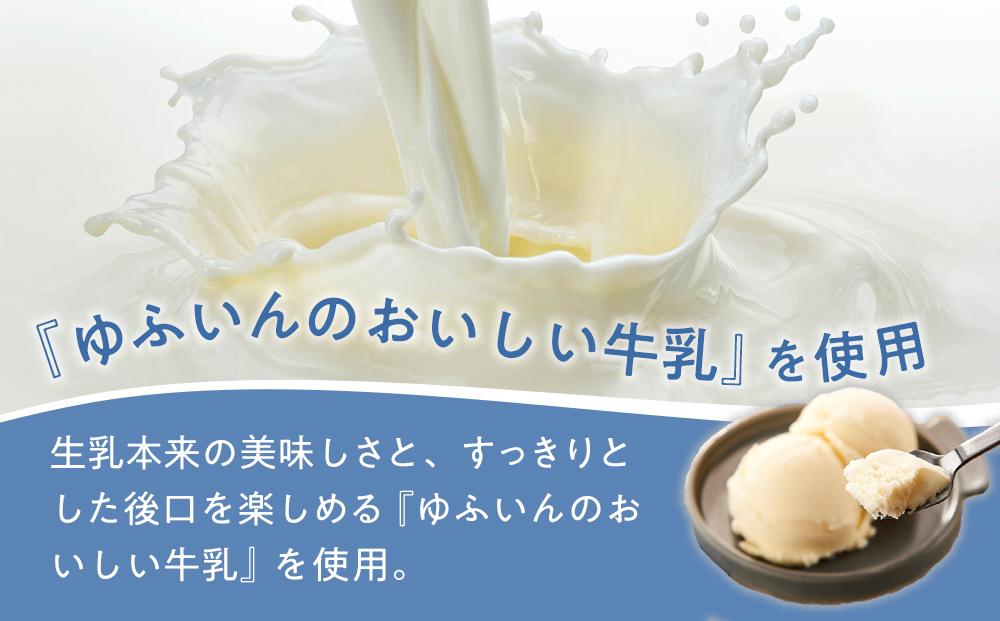 業務用 アイスクリーム バニラ 2L ＜『ゆふいんのおいしい牛乳』使用＞【大容量 家庭用 2リットル】
