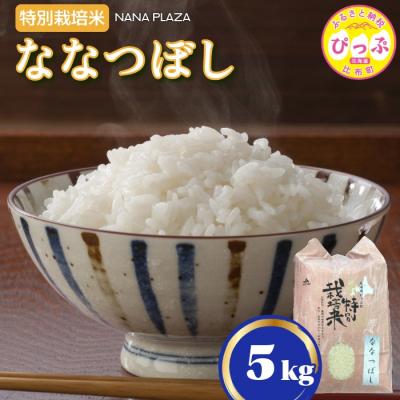 ふるさと納税 比布町 令和7年産 特別栽培米ななつぼし 5kg【ナナプラザ】