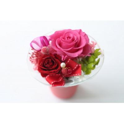 ふるさと納税 北上市 プリザーブトフラワー「赤い贈り物」 1個 |  | 01