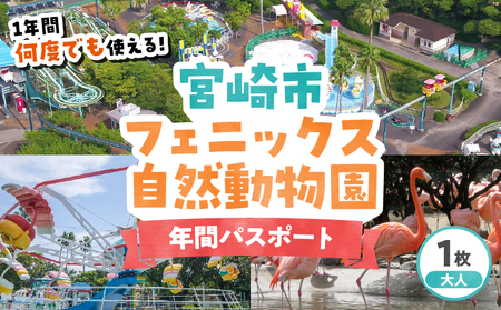 宮崎市フェニックス自然動物園年間パスポート（大人） イベント 動物園 入園券