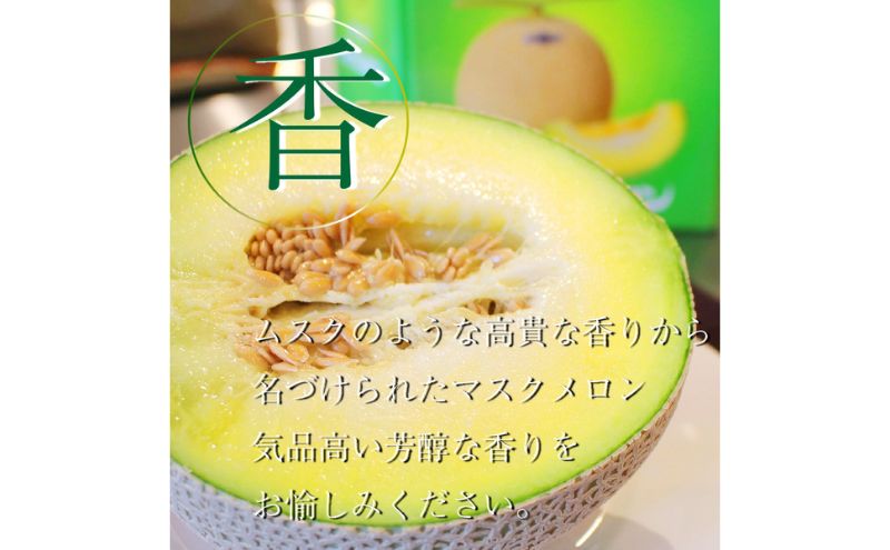 【12ヶ月定期便】クラウンメロン【並（白等級）】小玉（1.1