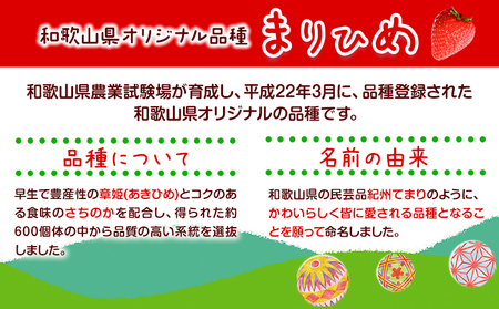 苺 いちご まりひめ【2027年先行予約】 約500g