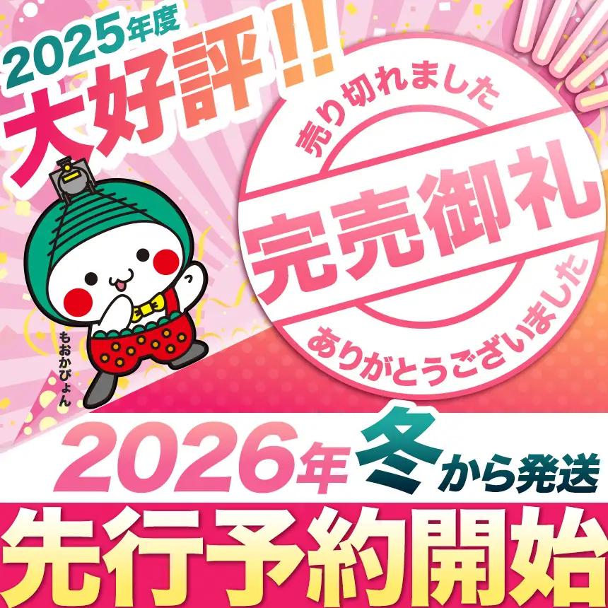【2026年12月より発送】【先行予約】とちひめ DX 1箱(2パック) | いちご とちひめ