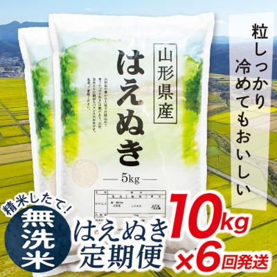 ふるさと納税 最上町 【発送月固定定期便】買い忘れなしで美味しいはえぬき10kg(無洗米)が届く全6回