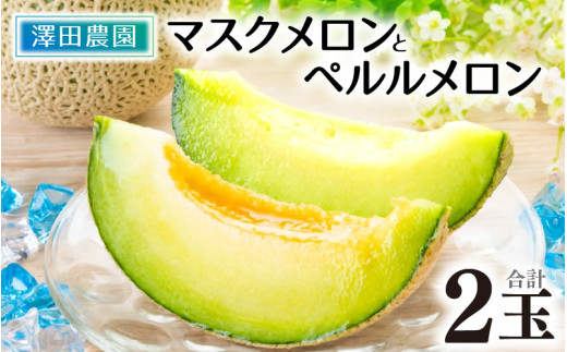 【先行予約】マスクメロン・ペルルメロン 2種セット(2玉入）大玉で食べ応え抜群！  / 期間限定 果物 フルーツ 産地直送 青肉 人気 甘い アールスメロン ※2027年7月上旬より順次発送 [aw039-a023]