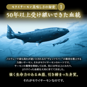 サーモン　モウイサーモン 刺身 冷蔵 新鮮 冷凍なし 生サーモン 鮭 海鮮