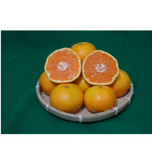 【先行予約】 有田みかん 秀品 約3kg サイズ混合　和歌山県産_イメージ5