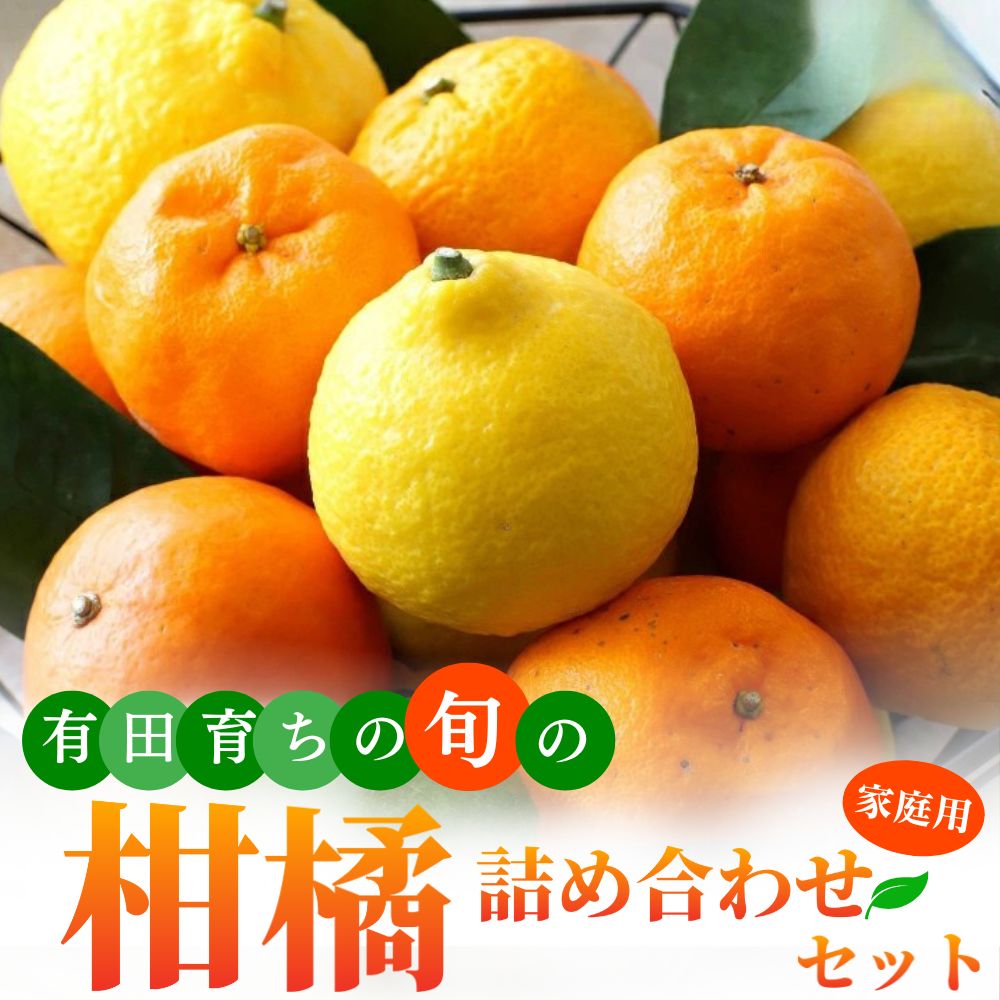 【ふるさと納税】【先行予約】 有田育ちの旬の 柑橘 詰め合わせ セット (ご家庭用)　※2026年1月中旬～2026年4月下旬に順次発送 ※北海道・沖縄・その他離島地域は発送不可 / みかん くだもの 晩柑 果実 蜜柑 柑橘 果物 フルーツ 国産 和歌山県 有田