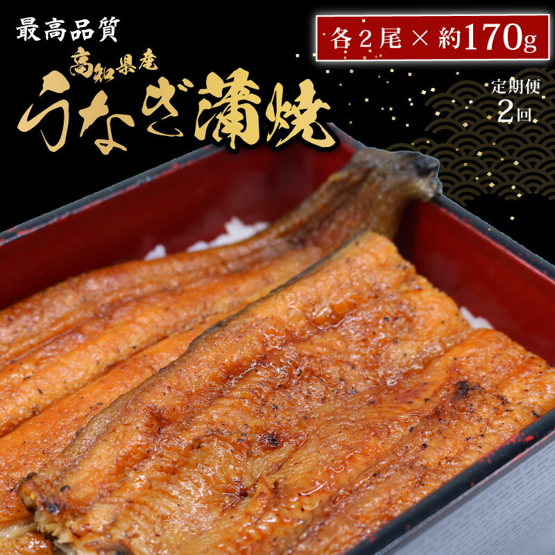 【ふるさと納税】 【2回定期便】 うなぎ蒲焼 約170g×2尾 高知県産 最高品質 合計約340g タレ 山椒 国産 鰻 おすすめ 高知県 南国市