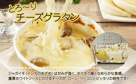 ■北海道グラタン 2種■《坊ちゃんかぼちゃ230g とろ～りチーズ250g 各2個》 鱗幸食品 南瓜 カボチャ 丸ごとかぼちゃ 濃厚 ホワイトソース じゃがいも インカのめざめ 小分け 惣菜 おつまみ