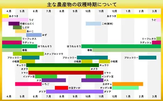 キュウリ 採りたてシャキ旨！24本　60P3231【ひない渡辺農園しどけ村】