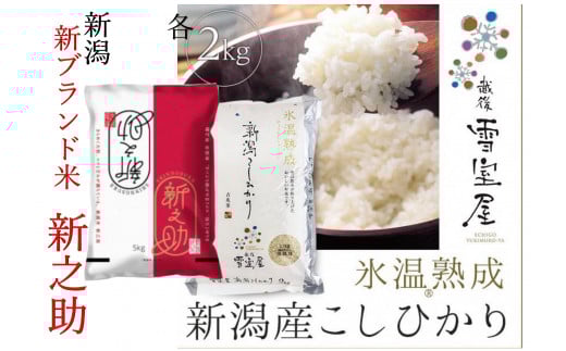 
            【令和7年産新米予約】阿賀野市産「新之助＆雪室米」食べ比べセット 各2kg 11月上旬より順次発送予定 1J11028
          